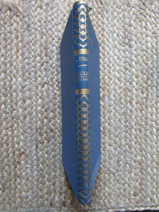 HORIA PATRASCU - RECONSTITUIREA