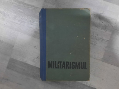 Militarismul de V.I.Skopin foto