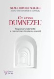 Ce vrea Dumnezeu. - Paperback - Neale Donald Walsch - For You
