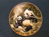 Farfurie decorativa din portelan cu Ursi Panda !