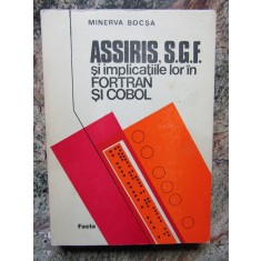 ASSIRIS, S.G.F. si implicatiile lor in FORTRAN si COBOL