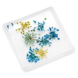 Decor pentru unghii, flori uscate D21
