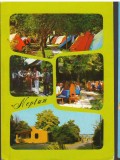 CPI B 12097 CARTE POSTALA - NEPTUN, MOZAIC POPAS TURISTIC NEPTUN