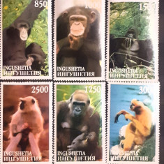 INGUSHETIA , fauna, animale, maimuțe, serie 6V. NESTAMPILATA