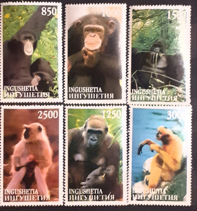 INGUSHETIA , fauna, animale, maimuțe, serie 6V. NESTAMPILATA