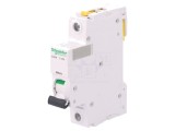 &Icirc;ntrerupător de Supracurent 40A 1P 230V C