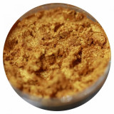 Pigment Machiaj Ama - The Golden Globe, No 519