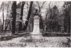 AMS - ILUSTRATA 1959, BOTOSANI, BUSTUL LUI MIHAI EMINESCU, ANUL 1959 foto