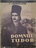 Domnul Tudor &ndash; C. Ardeleanu - Roman Beletristica