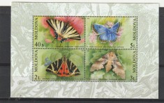 Fauna ,fluturi ,Moldova. foto