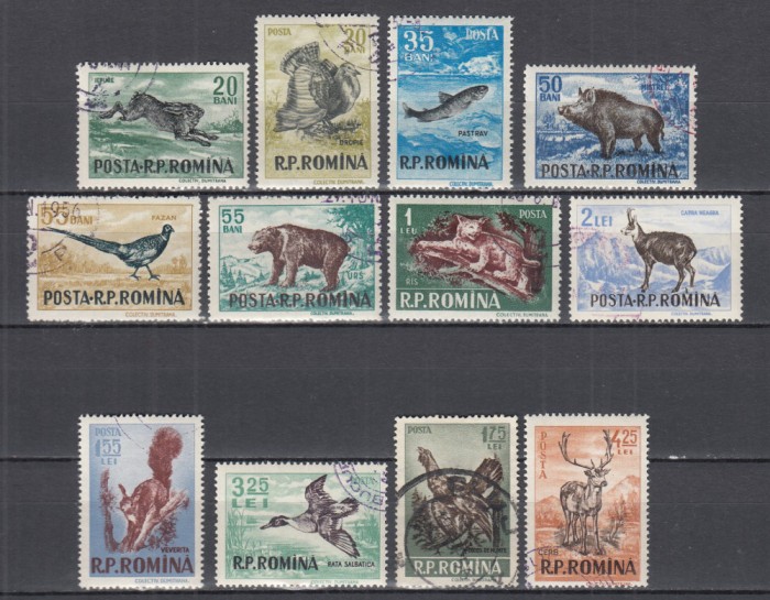 ROMANIA 1956 LP 404 VANATOAREA SERIE DANTELATA STAMPILATA