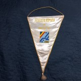 Fanion Fed. Romana de Natatie