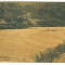 1481 - PIATRA NEAMT, rafts on the Bistrita river - old postcard - used - 1927