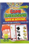 Jocuri pentru copii inteligenti. Carte de activitati +3 ani