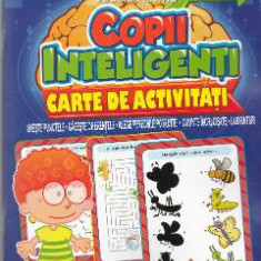 Jocuri pentru copii inteligenti. Carte de activitati +3 ani