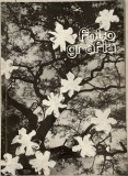 Revista Fotografia, Nr. 1 din 1971, editata de Asociatia Artistilor Fotografi, rară, de colectie / turism si foto / Photokine 1970 / istoria fotografi
