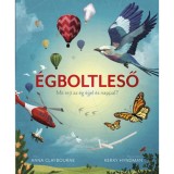 &Eacute;gboltleső - Mit rejt az &eacute;g &eacute;jjel &eacute;s nappal? - Anna Claybourne
