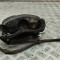 Etrier de fr&acirc;nă dreapta față VW SHARAN 7N1, 7N2 2012 OEM: 7N0615124B 31253416