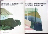INGINERIA ZACAMINTELOR DE HIDROCARBURI VOL.1-2-COORDONATOR: ALEXANDRU SOARE-341406