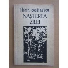 Florin Costinescu - Nasterea zilei
