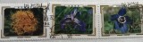 (B ) Timbre serii Straine Flora Flori Asia, Stampilat