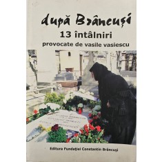 Fundația Constantin Br&acirc;ncuși, După Br&acirc;ncuși - 13 &icirc;nt&acirc;lniri provocate de Vasile Vasiescu, 2009