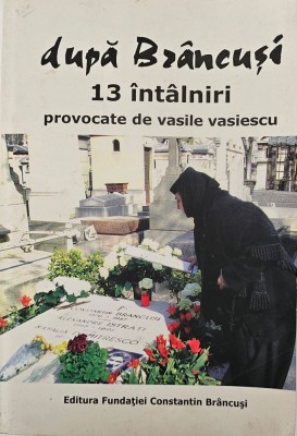 Fundația Constantin Br&amp;acirc;ncuși, După Br&amp;acirc;ncuși - 13 &amp;icirc;nt&amp;acirc;lniri provocate de Vasile Vasiescu, 2009 foto