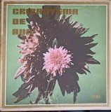 Disc vinil, LP. CRIZANTEMA DE AUR. SETBOX 7 DISCURI VINIL-COLECTIV-245216