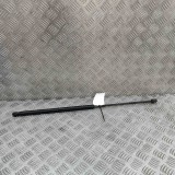 Amortizor capota st&acirc;nga față MERCEDES-BENZ SLK R171 2005 OEM: A1718800129 31203709