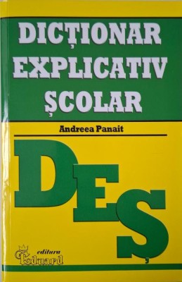 Dictionar explicativ scolar &amp;ndash; Andreea Panait foto