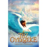 A tűz gyermeke - Főnix &eacute;s a J&eacute;gpalota - Aisling Fowler