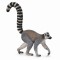 Lemur cu coada-inel - Collecta