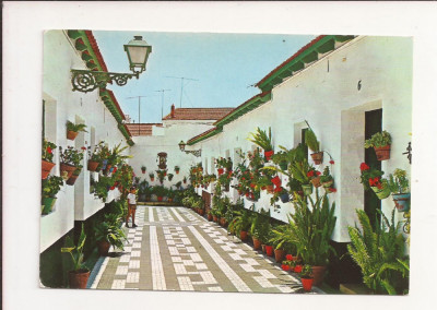 FA6 - Carte Postala - SPANIA - Malaga, Palo, necirculata foto