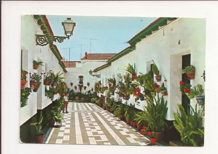 FA6 - Carte Postala - SPANIA - Malaga, Palo, necirculata