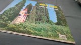 DISC VINIL MARIA HAIDUC -MINDRU II CERUL CU STELE -EPE 01532 -DISC STARE FOARTE BUNA CHIAR EXCELENT