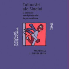 Tulburări ale Sinelui. O abordare axată pe tipurile de personalitate