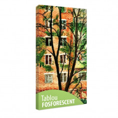 Tablou fosforescent Casa din spatele copacului foto