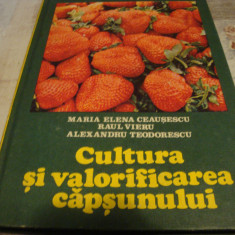 Cultura si valorificarea capsunului (colectiv de autori ) - Ceres 1982