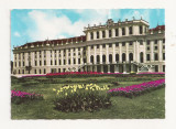 AT1 -Carte Postala-AUSTRIA- Viena, Schloss Schonbrunn , necirculata