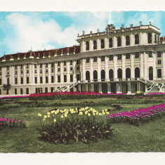 AT1 -Carte Postala-AUSTRIA- Viena, Schloss Schonbrunn , necirculata