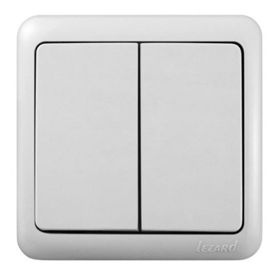INTRERUPATOR DUBLU PT E-L101PT foto