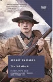 Zile fara sfarsit, Sebastian Barry