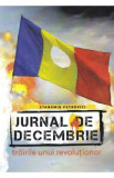 Jurnal de Decembrie - Stanomir Petrovici, 2020