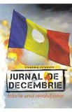 Jurnal de Decembrie - Stanomir Petrovici
