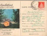 CPI B14272 CARTE POSTALA - COMBATAND LA TIMP SI CU PRODUSE EFICACE DAUNATORII...