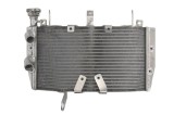 Radiator pentru DUCATI MONSTER 821 2014-2021