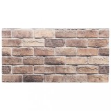 Cumpara ieftin Panouri de perete 3D, 10 buc., maro, 100x50 cm, EPS