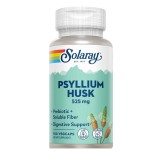Psyllium Husk 525 miligrame 100 capsule vegetale Secom