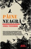 Paine neagra - Emili Teixidor, 2021