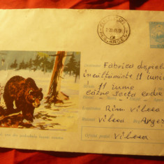 Plic ilustrat circulat - Ursul - cod 926/1964